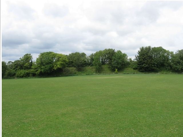 Burpham Cricket Pitch